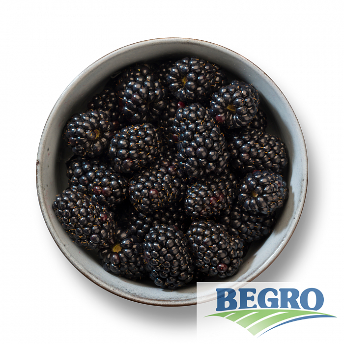 Bjørnebær begro 4x2,5kg t kg