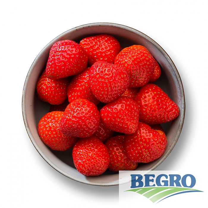 Jordbær begro 4x2,5kg  t  kg