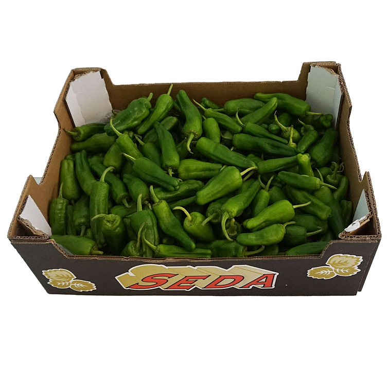 Paprika padrone grønn   kg
