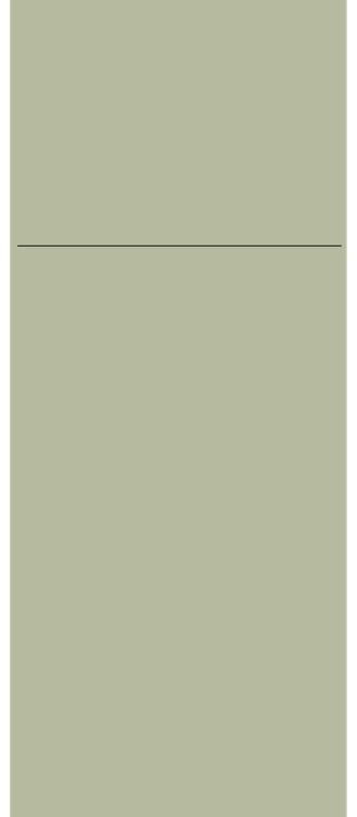 Dunilet sl dsoft pistachio green 40x33cm  65stk