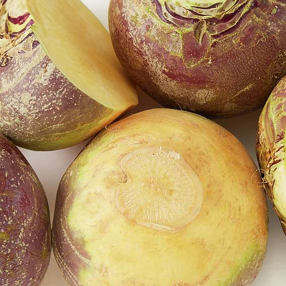 Swede ecolog.           kg