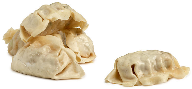 Gyoza dumpling vegan   3,2kg