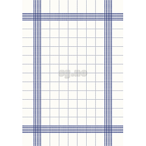 Serviett towel napkin blå ruter  38x54   250stk