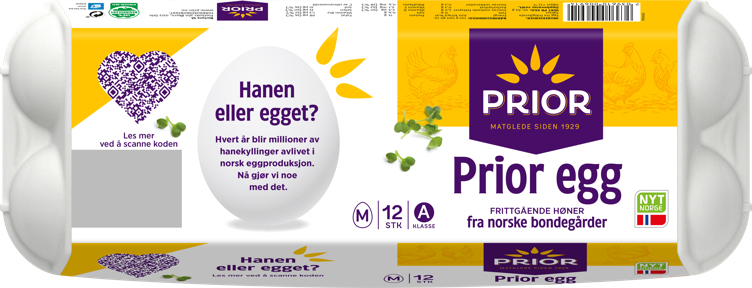 Egg 12stk 53-63g frittgående   720g