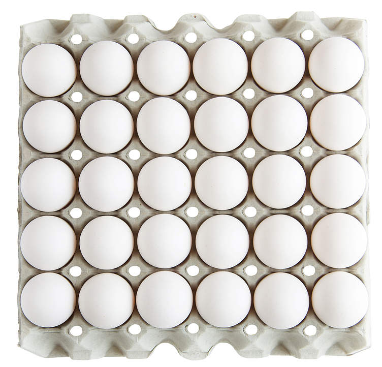 Egg l from free-range hens  30pce