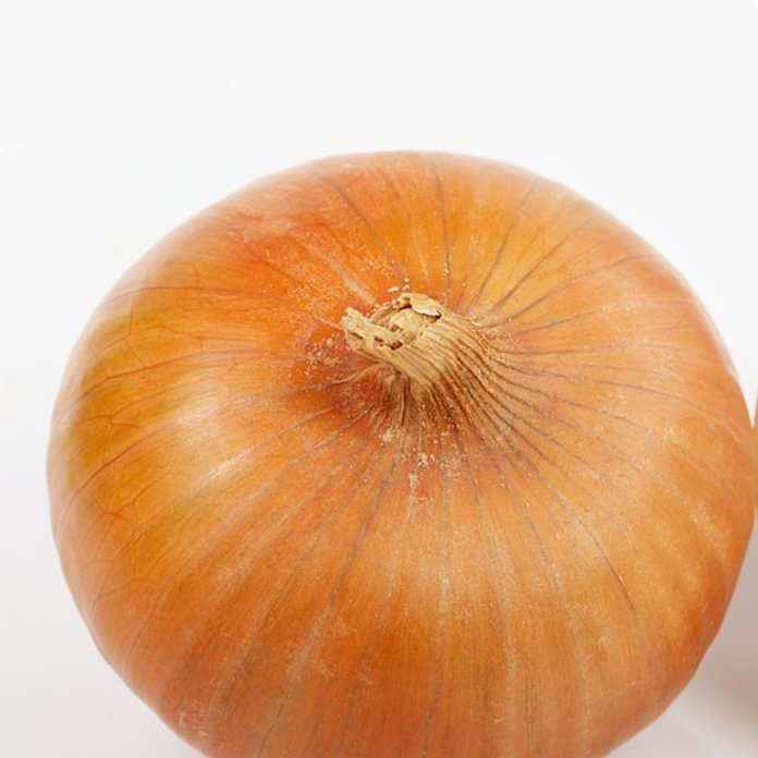 Onion   ecological      kg