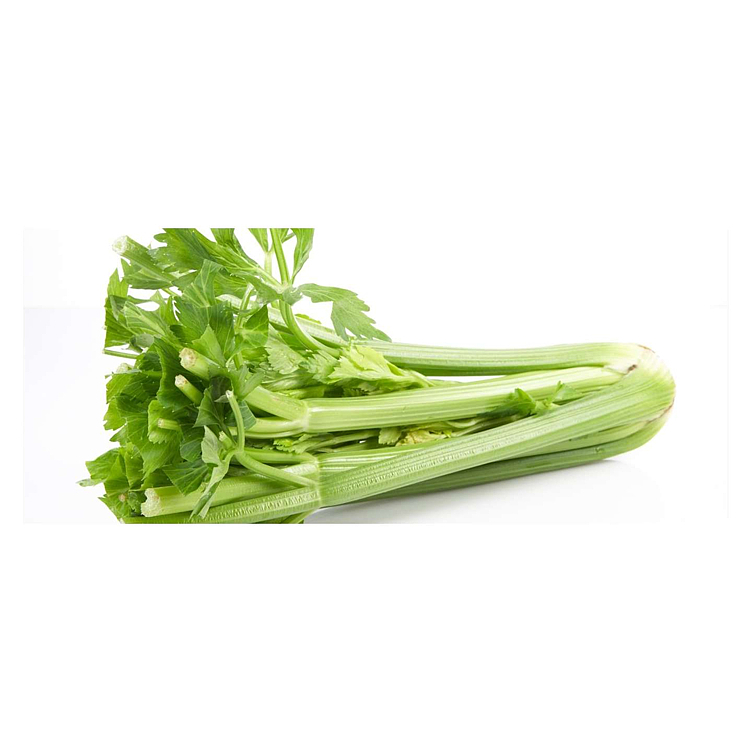 Celery stick ecological