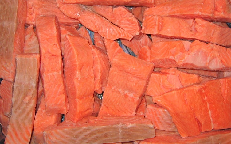 Salmon fillet 130g         5kg
