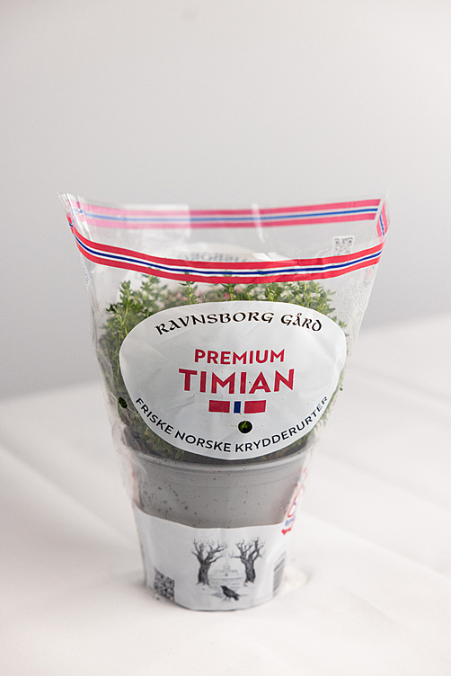 Timian  ø14cm premium   potte
