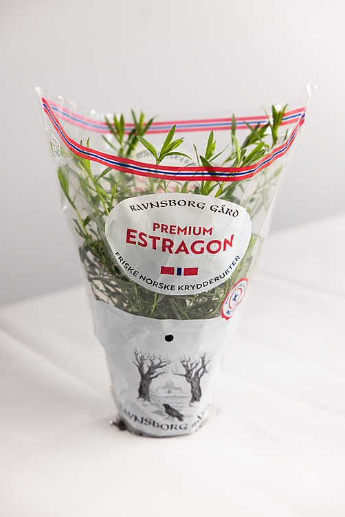Estragon  ø14cm premium   potte