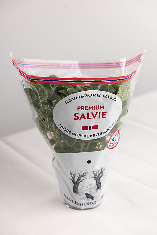 Salvie  ø14cm premium   potte