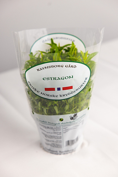 Estragon  ø12cm standard   potte