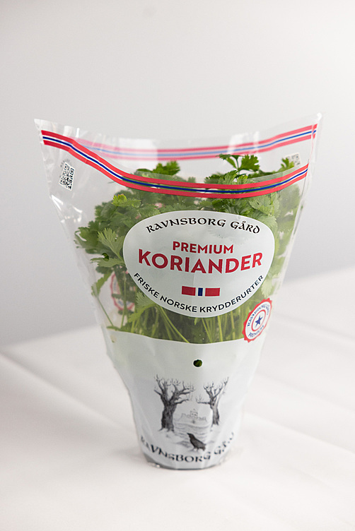 Koriander  ø14cm premium   potte