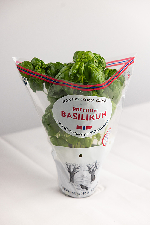 Basilikum  ø14cm premium   potte