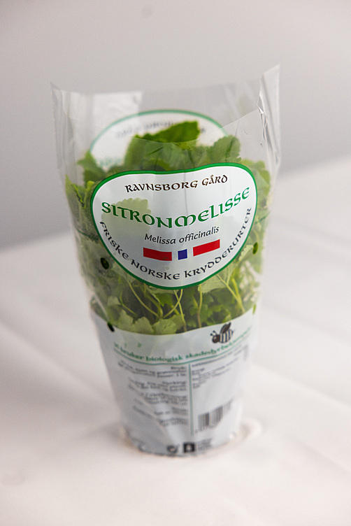 Sitronmelisse  ø12cm standard   potte