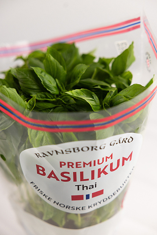 Thai basilikum  ø14cm premium   potte
