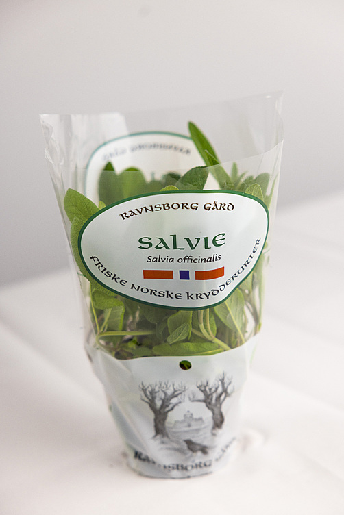 Salvie  ø12cm standard   potte