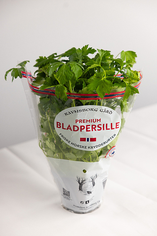 Bladpersille  ø14cm premium   potte