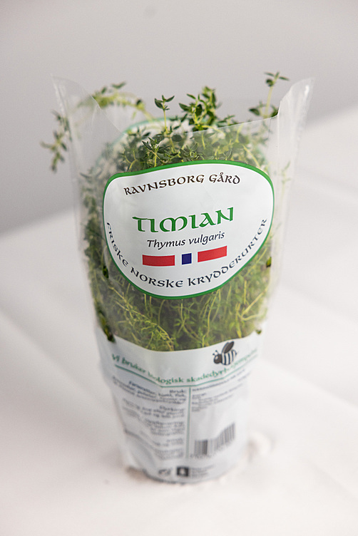 Timian  ø12cm standard   potte