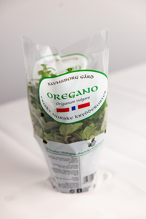 Oregano  ø12cm standard   potte