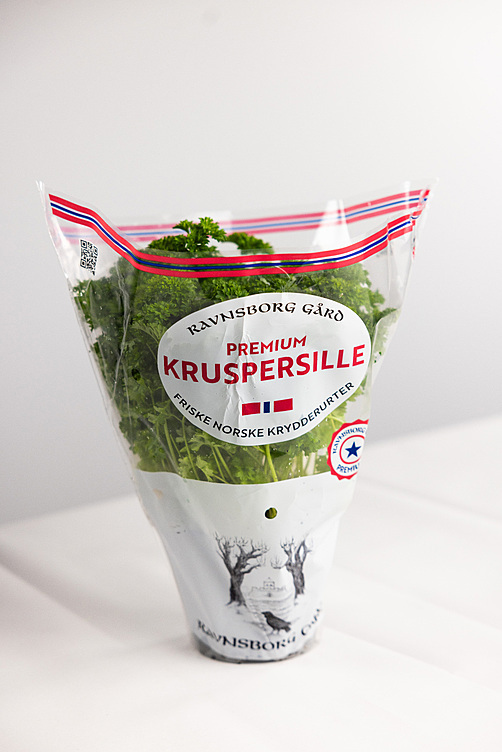 Kruspersille  ø14cm premium   potte