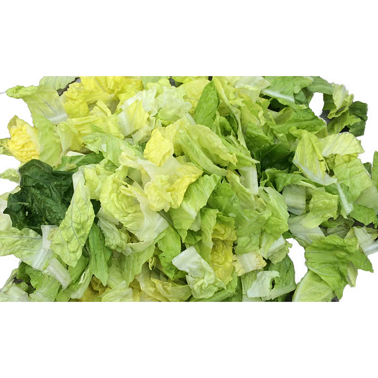 Lettuce romano chopped 1kg stk