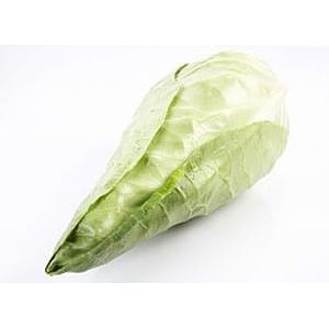 Spisskål økol.   stk