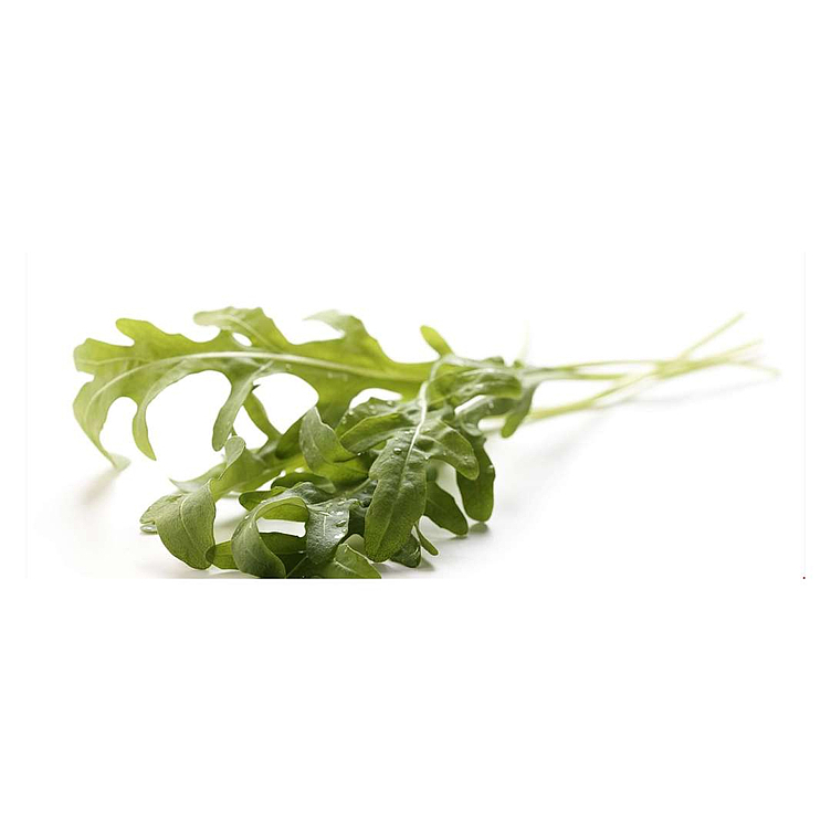 Salat ruccola 75g    stk