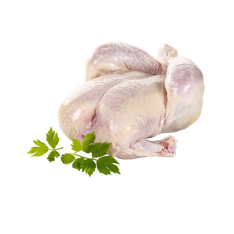 Smaalenene gårdskylling 2-3kg   kg