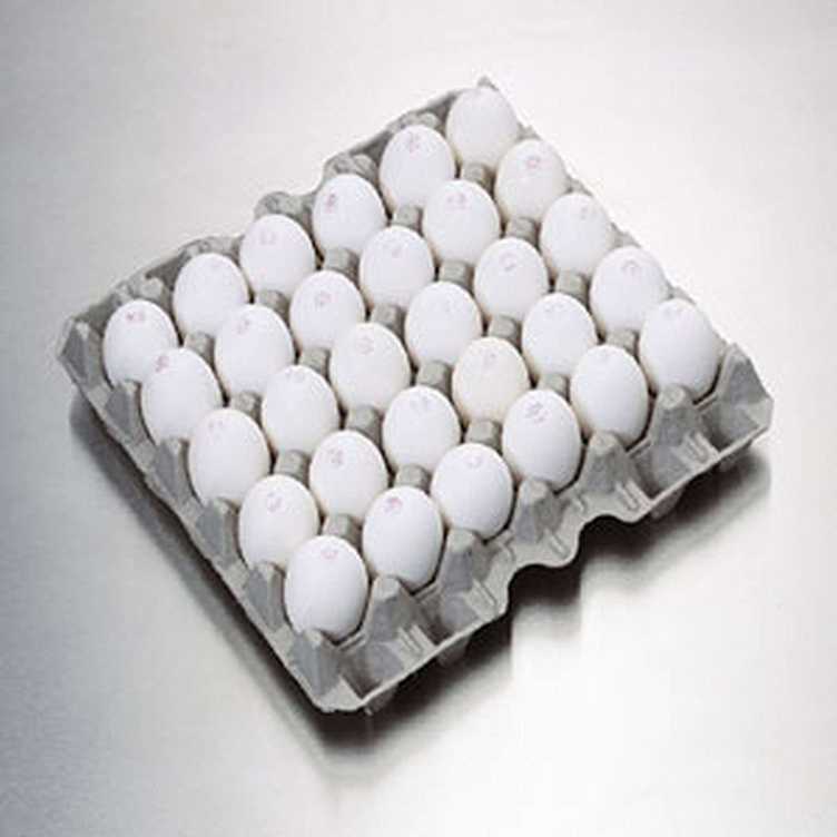 Prior egg l30           16,3kg