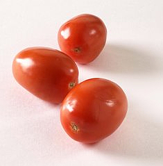 Tomat plomme løs   kg