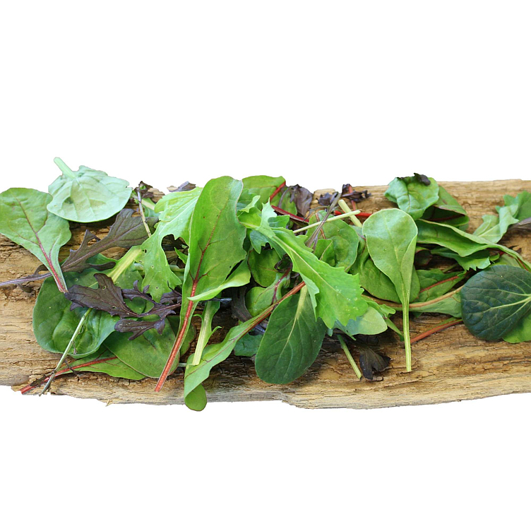 Salat asiamix    100g   stk