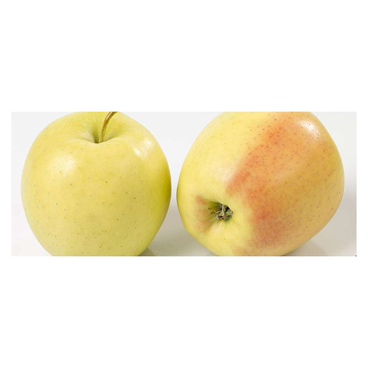 Epler import golden  kg