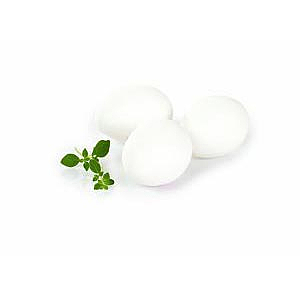 Egg sml   6