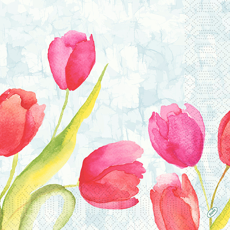 Serviett 3l 40cm painted tulip  250stk