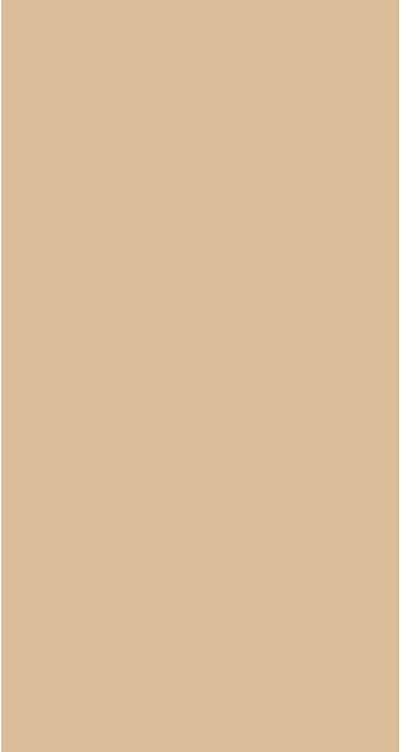 Serviett 3l 33cm 1,8br natural brun  250stk