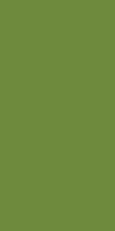 Serviett 3l 33cm 1/8 br leaf green  250stk