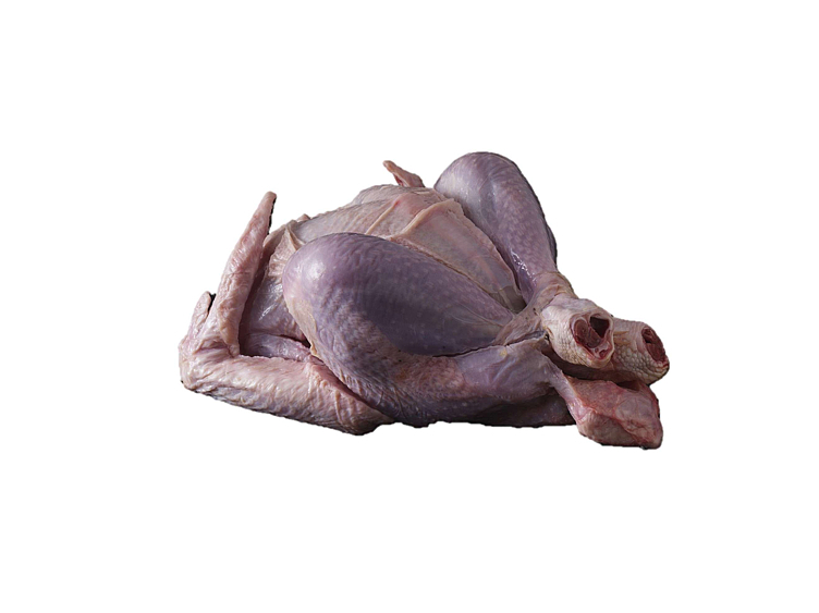 Kalkun      t  kg månedspris