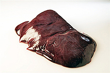 Kalvelever lys fryst  ca5kg   kg