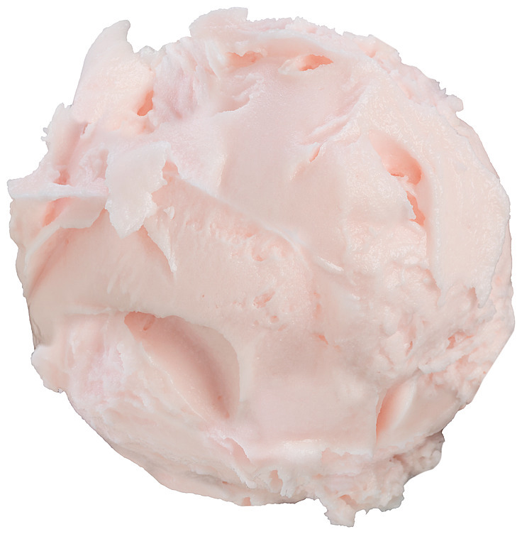 Rabarbra sorbet nr.16  4,7l