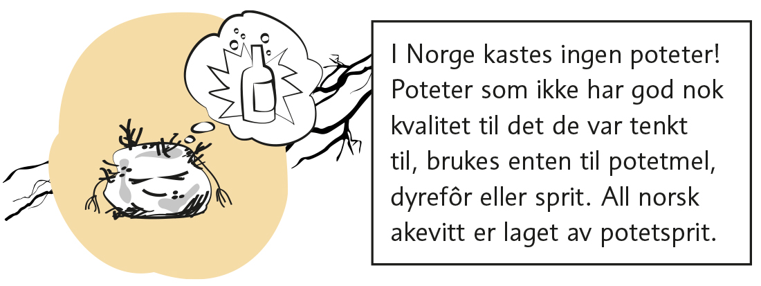 Potetfakta_5.jpg