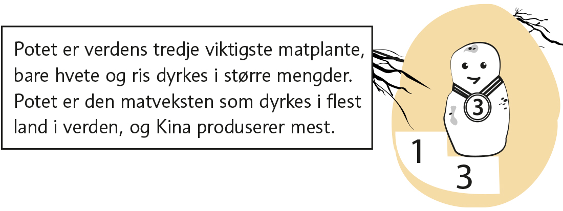 Potetfakta_6.jpg