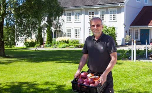 Fersk løk fra Mjøsas bredd
