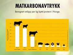 Vestfold Fugl_matkarbonavtrykk.jpg