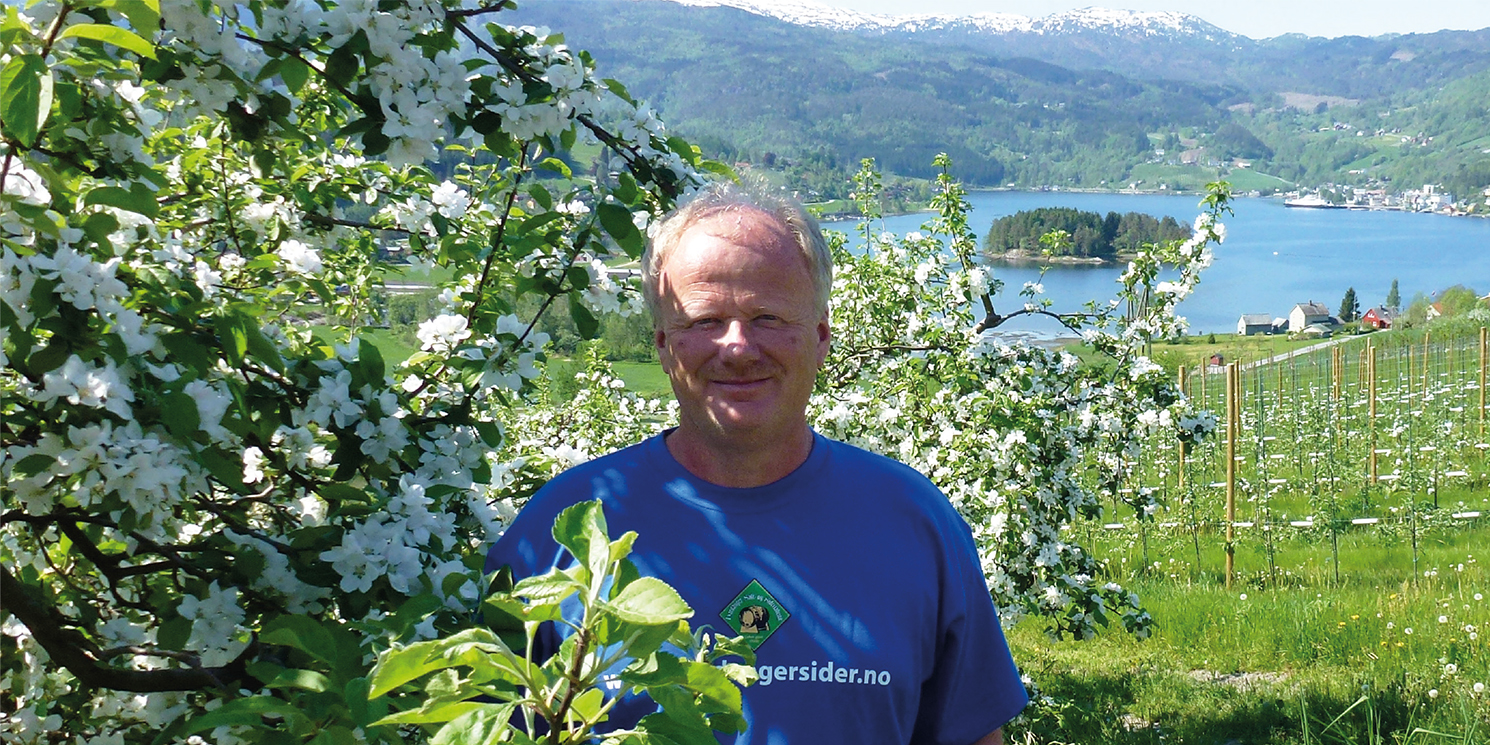 Norske epler i glasset