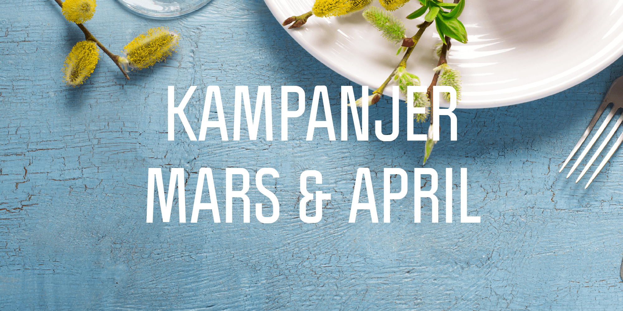 Kampanje mars og april 2019