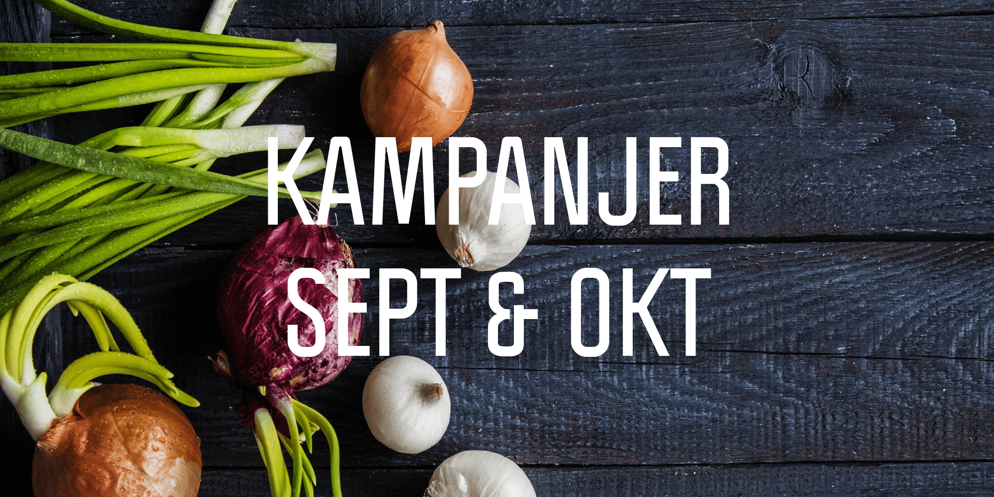 Kampanje september & oktober